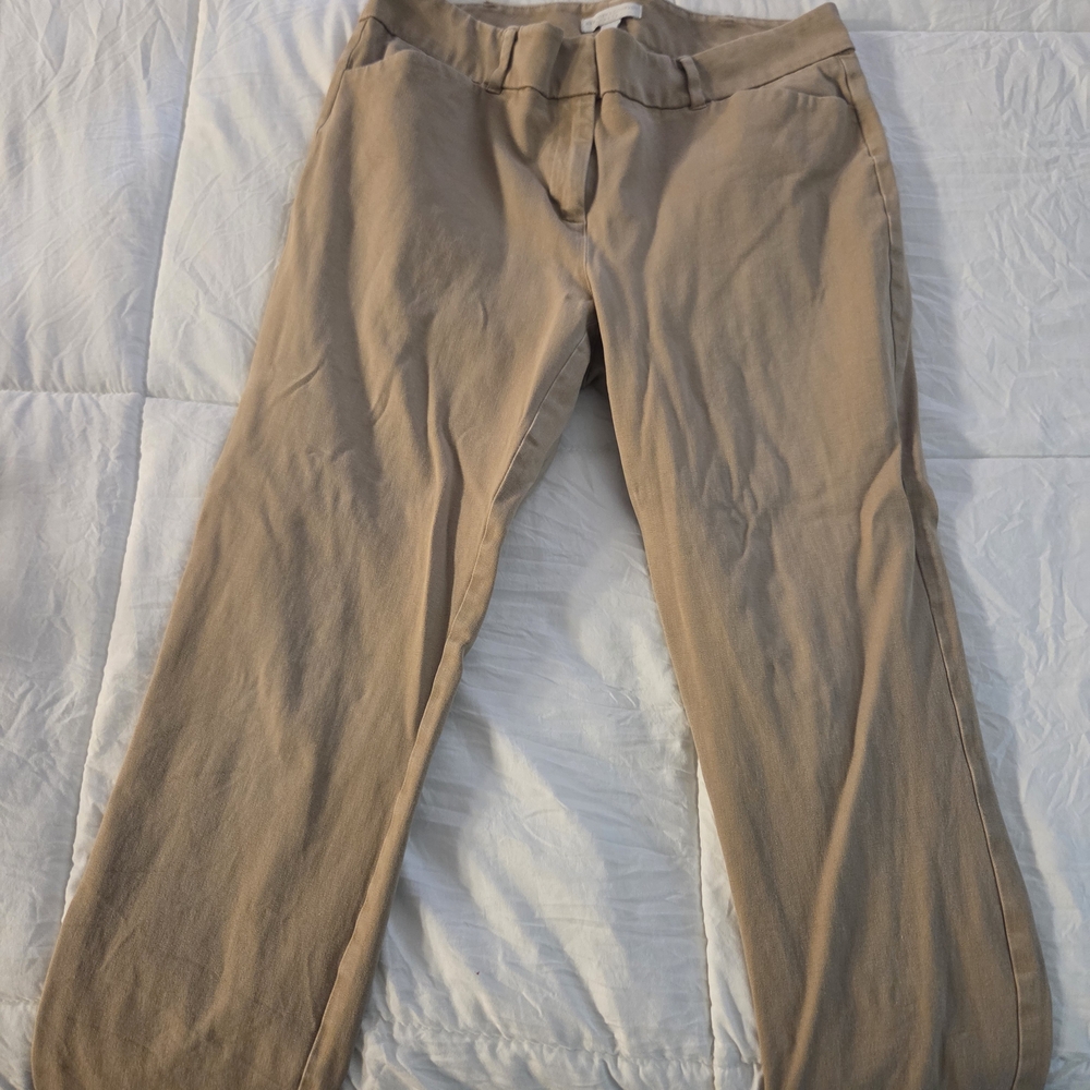 New York & Company Tan and Polka Dot Chinos - Picture 2 of 7